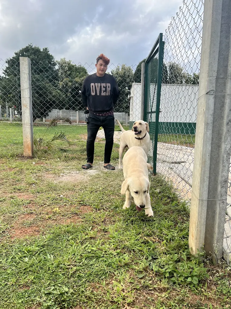 What Happens When You Arrive and Splash Around